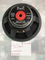 Loa 30cm