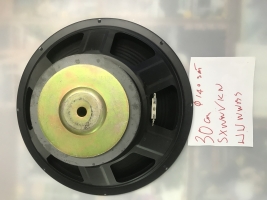 Loa 30cm